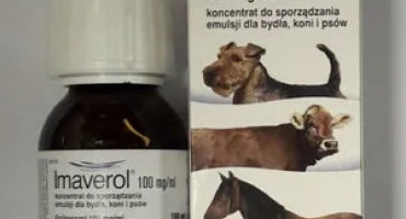 Imverol: как да се размножаваме и използваме за котки и кучета